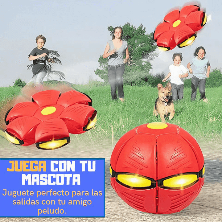 Pelota Disco Paws